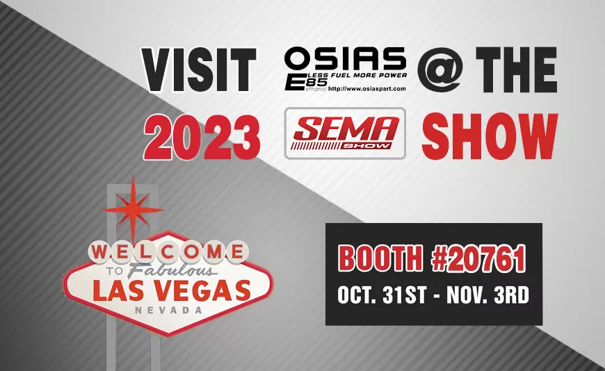 The Sema Show