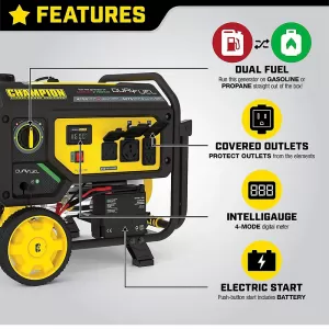 Champion Power Equipment 201052 4750/3800-Watt Dual Fuel Portable Generator