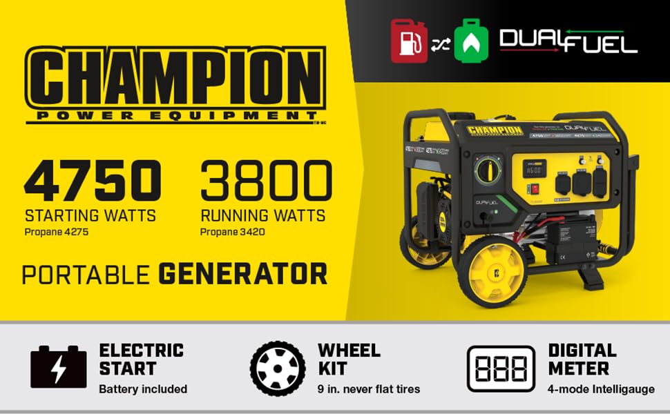 Champion Power Equipment 201052 4750/3800-Watt Dual Fuel Portable Generator